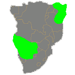 Distribution through southern Africa.